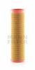 CASE 275810A1 Secondary Air Filter